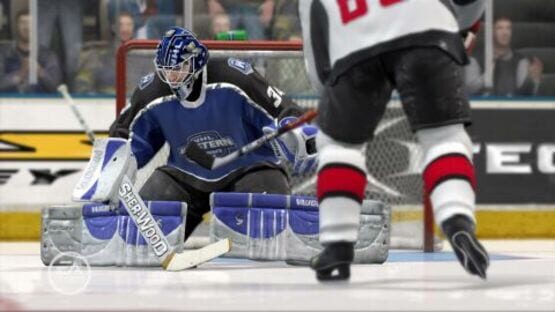 NHL 07: captura 1