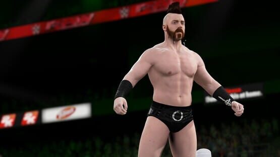WWE 2K16: لقطة شاشة 3