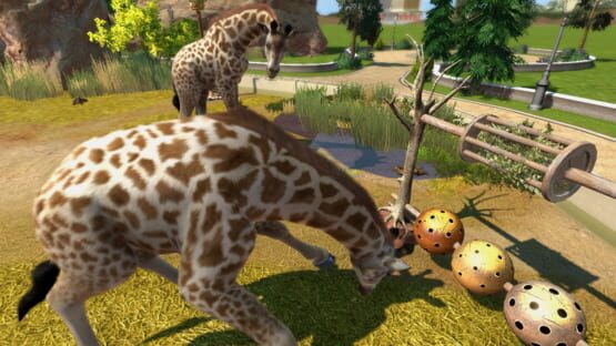 Zoo Tycoon: لقطة شاشة 2